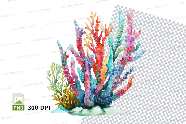 Colorful coral reef