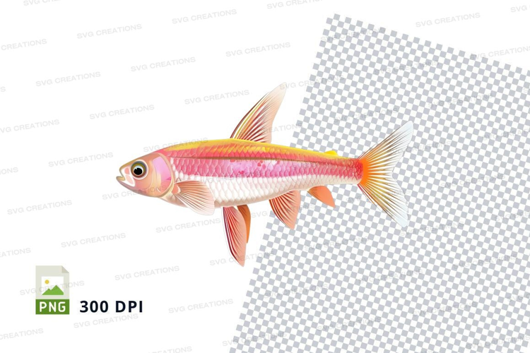Vibrant tropical fish