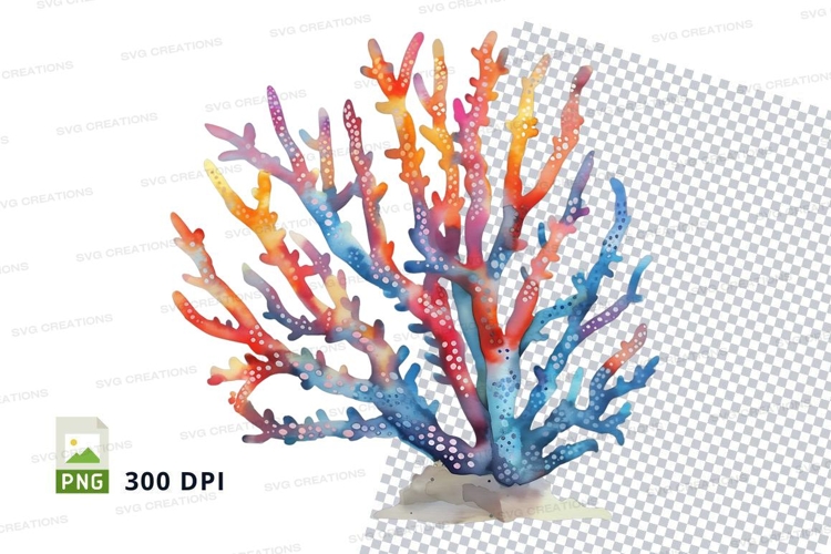 Colorful coral reef