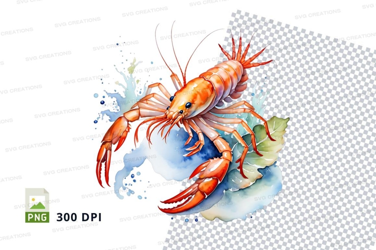 Shrimp Illustration Image 3