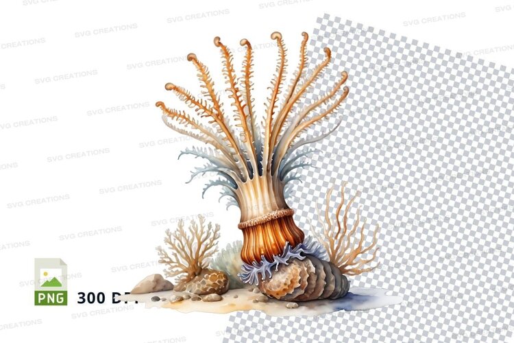 Underwater coral reef example image 1