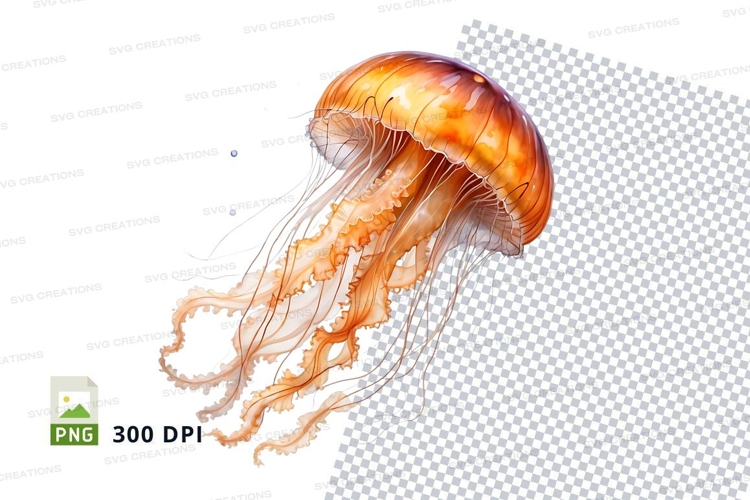 Vibrant orange jellyfish