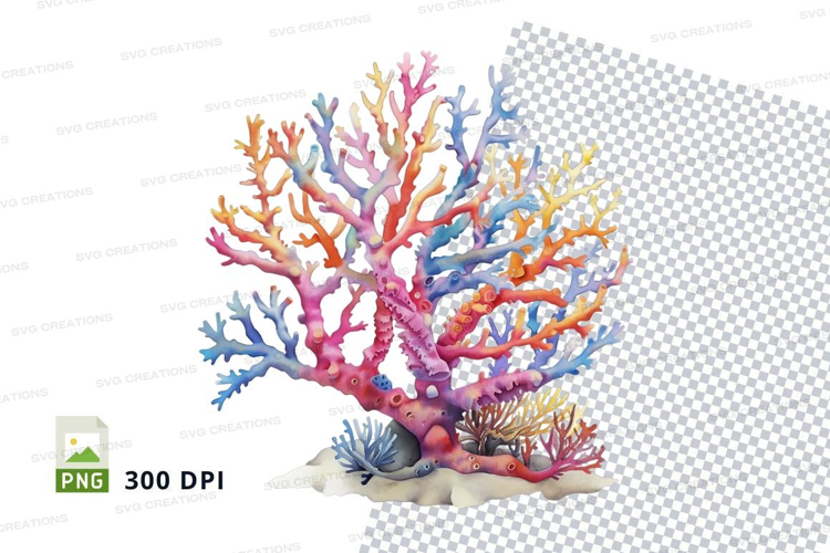 Colorful coral reef