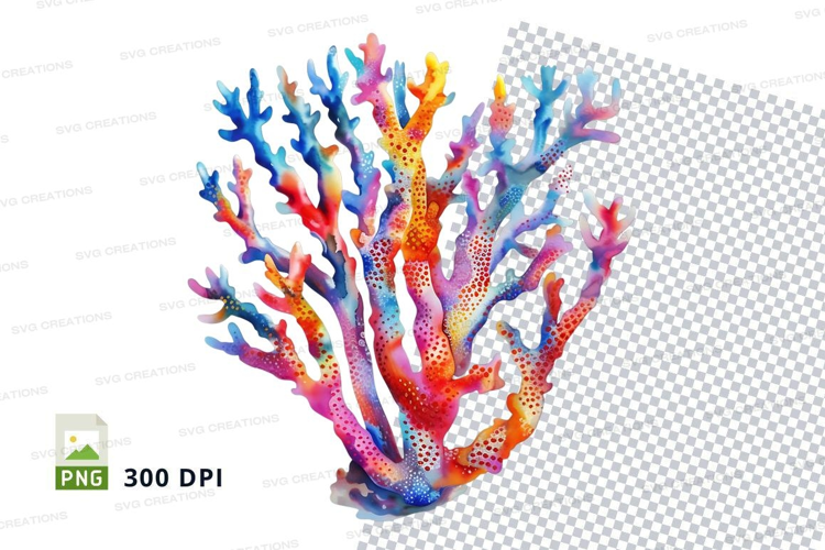 Colorful coral reef
