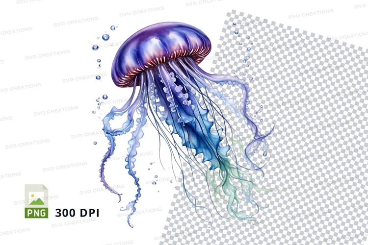 Illustrative jellyfish