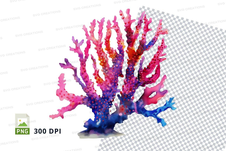Colorful coral reef