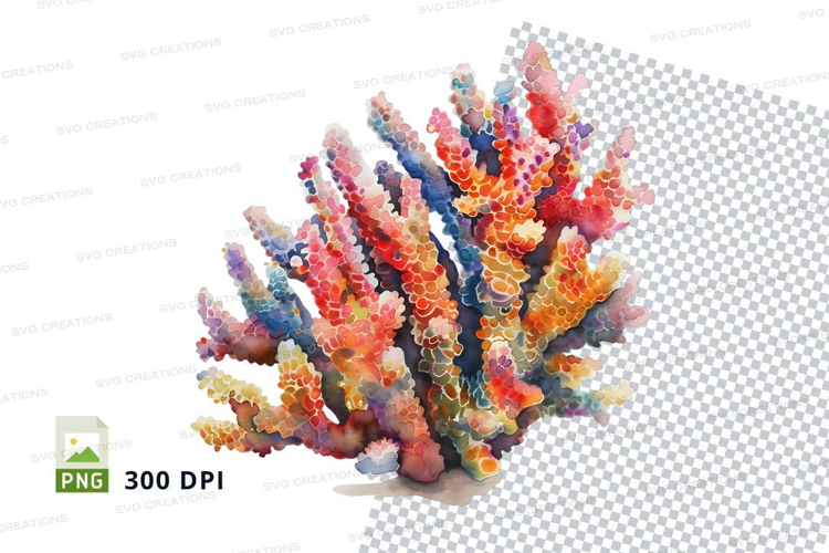 Colorful coral reef