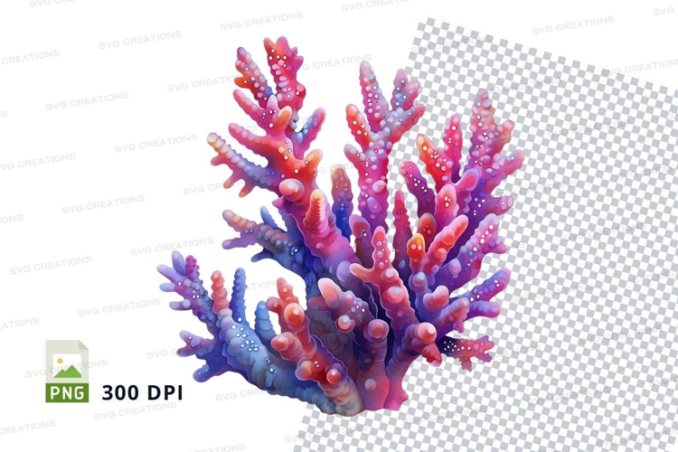 Colorful coral reef