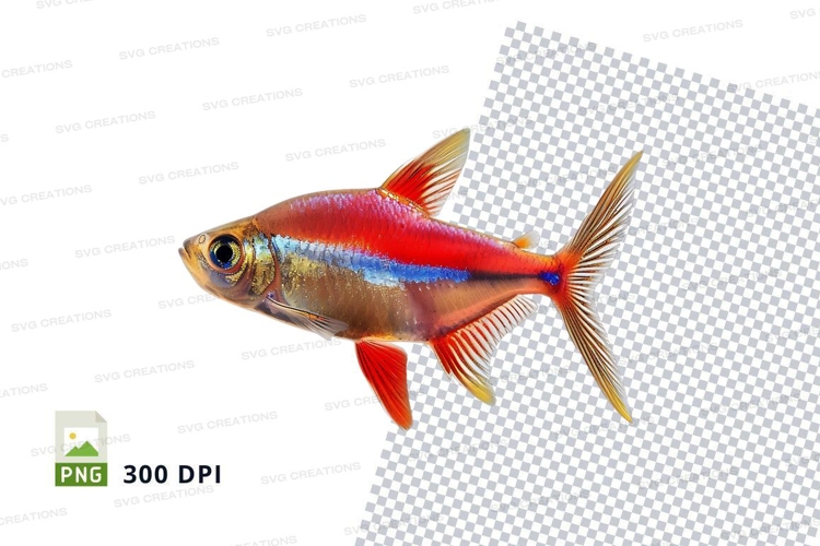Vibrant tropical fish