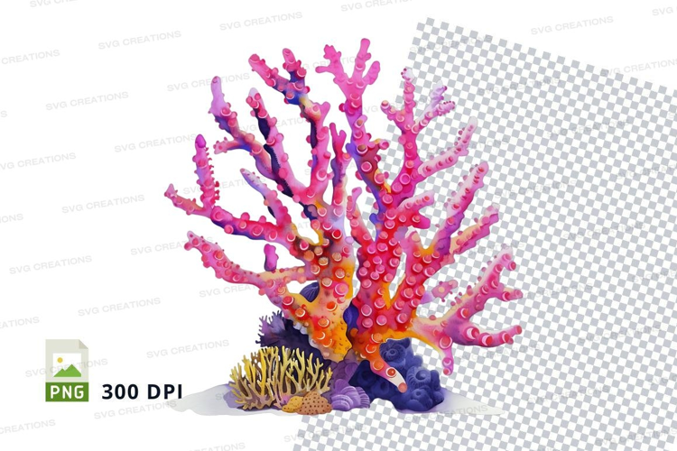 Colorful coral reef