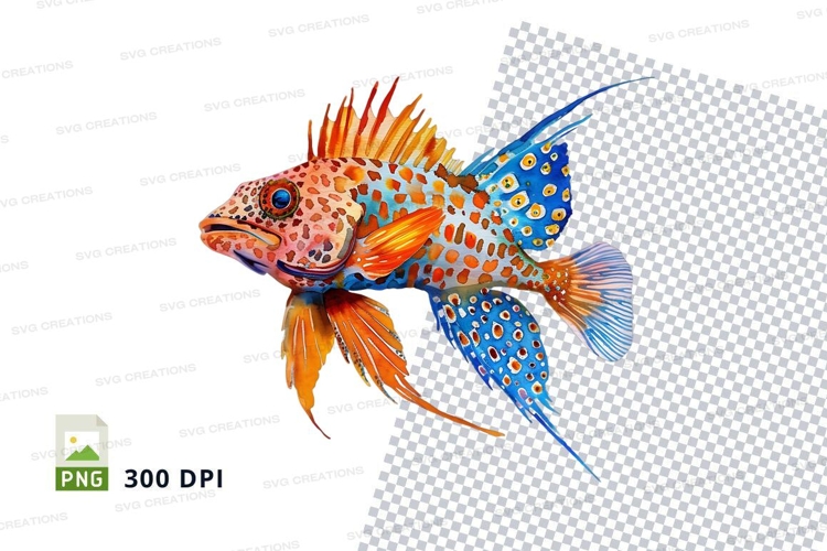 Fish Illustration Image 15