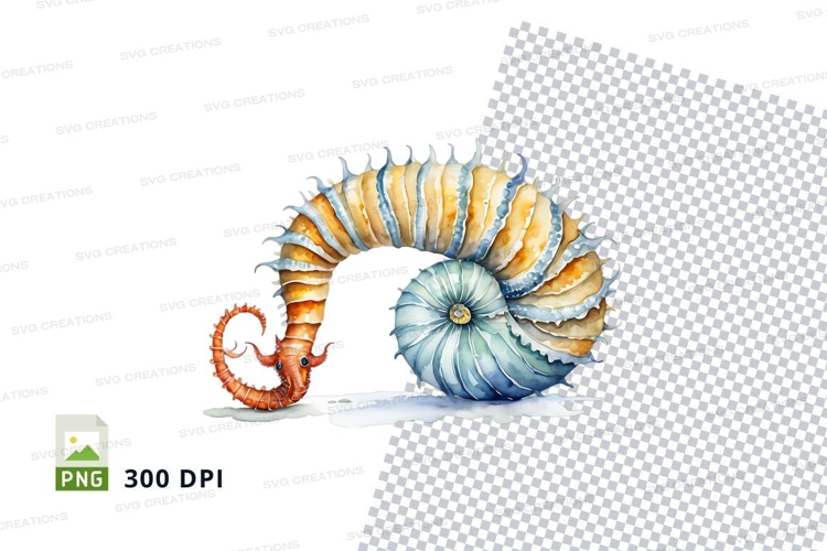 Sea Shell Clipart Image 9