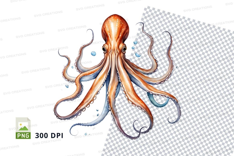 Octopus Png Image 9