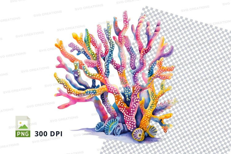 Colorful coral reef