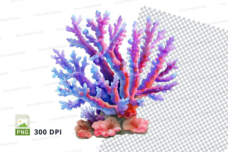 Colorful coral reef