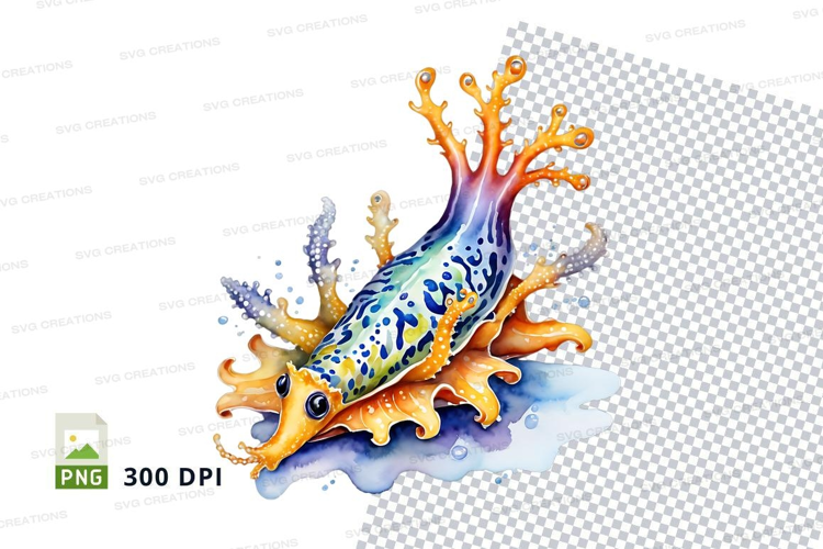 Colorful sea creature on coral