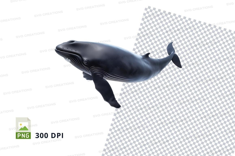 Whale Clipart Image 19