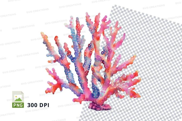 Colorful coral reef
