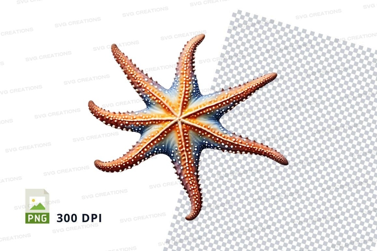 Vibrant starfish clipart
