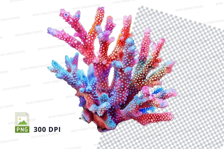 Colorful coral reef