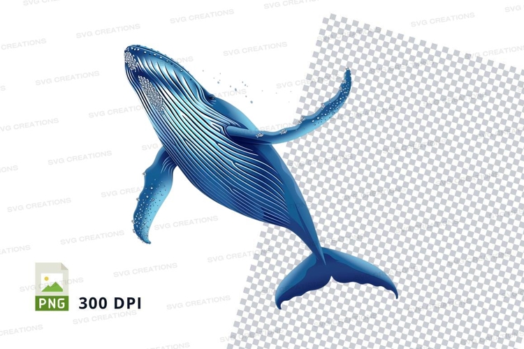 Whale Clipart Image 17