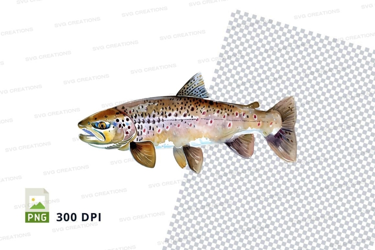 Dolphin Illustration Image 24