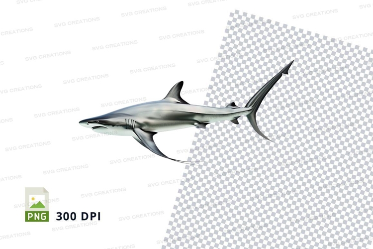 Shark Png Image 2