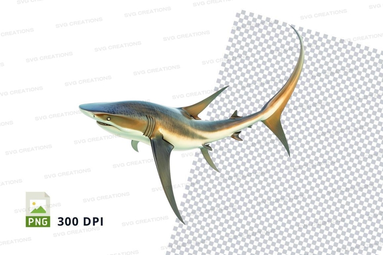 Shark Png Image 3