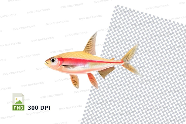 Fish Illustration Image 17