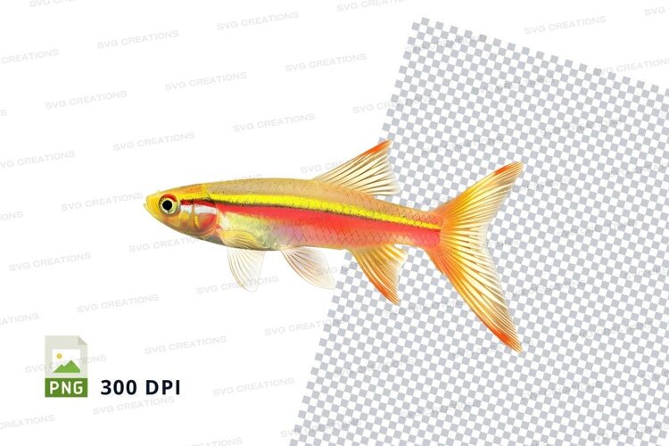 Vibrant tropical fish example image 1