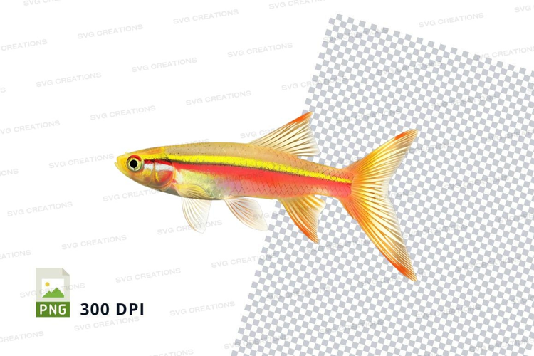 Vibrant tropical fish