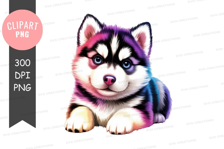 Husky Png Image 15