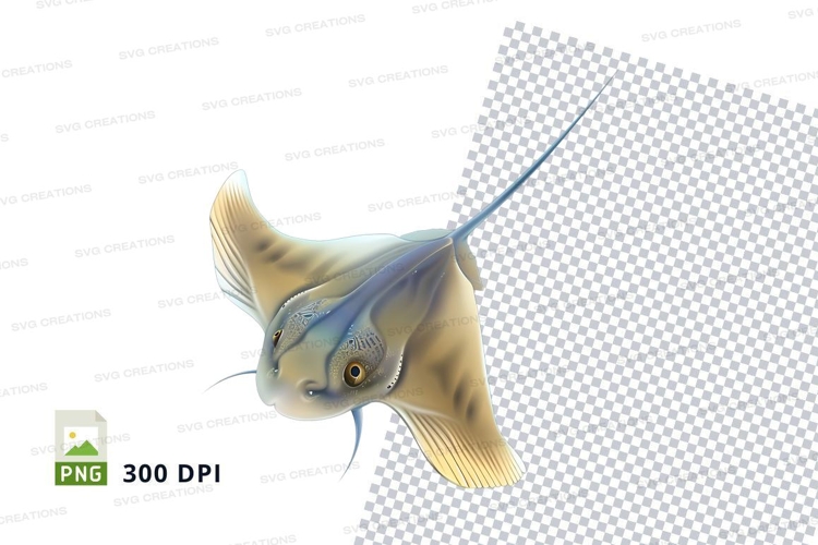 Fish Clipart Image 7