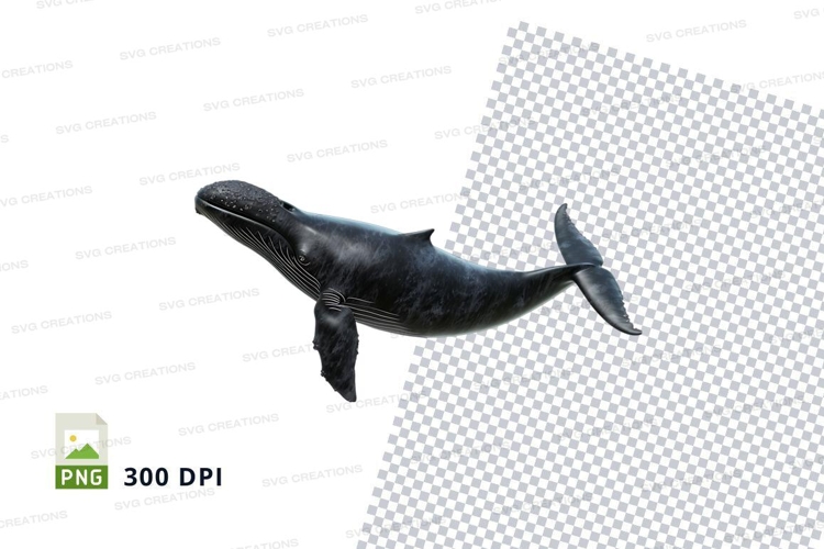 Whale Clipart Image 16