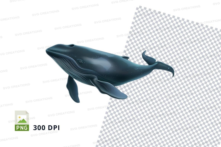 Whale Clipart Image 14