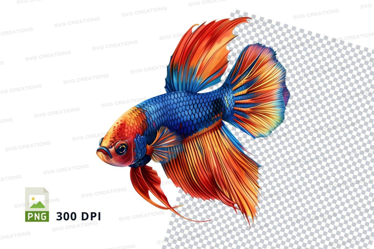 Vibrant betta fish