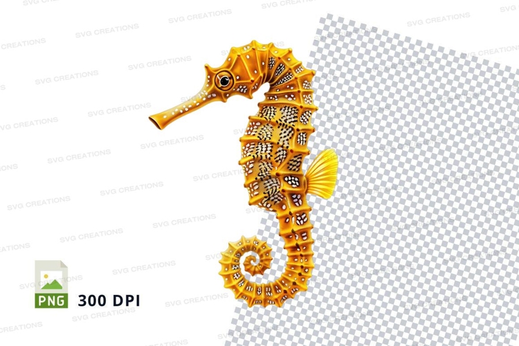 Seahorse clipart png