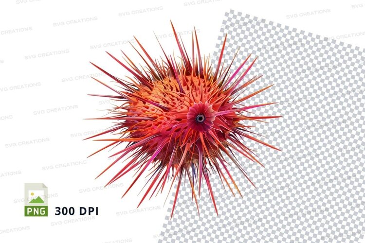 Vibrant sea urchin example image 1