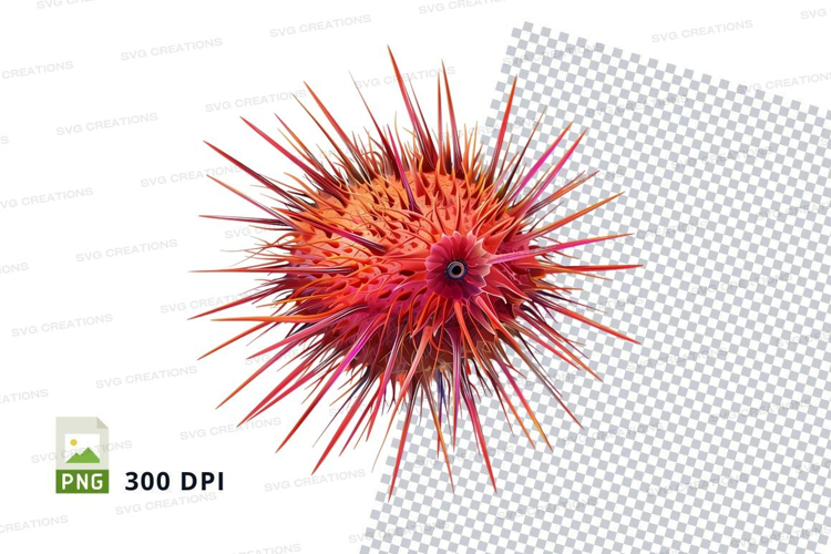Vibrant sea urchin