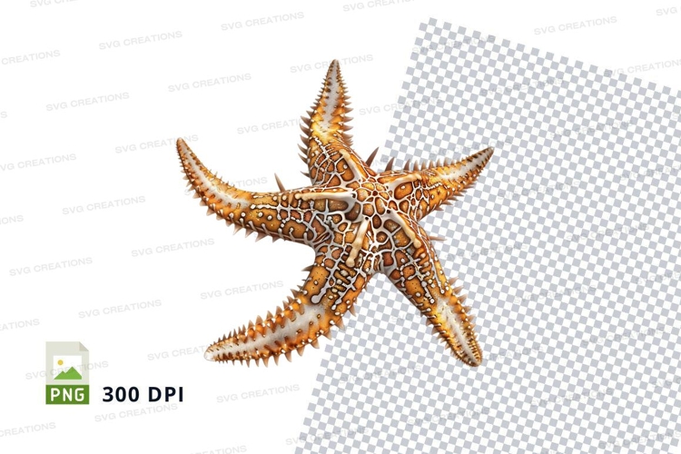 Transparent Star Png Image 8