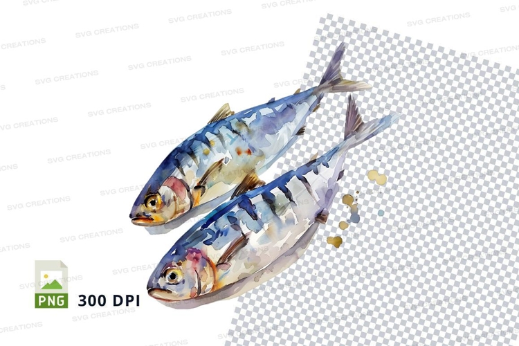 Fish Illustration Image 15
