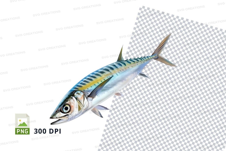 Fish Clipart Image 14
