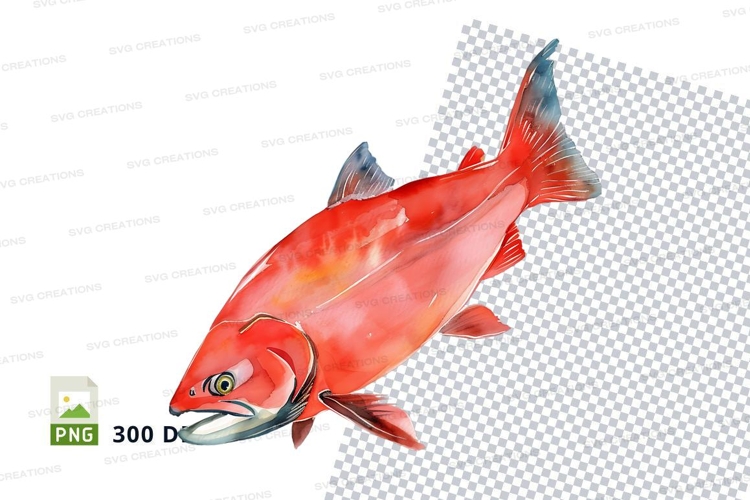 Vibrant red fish clipart