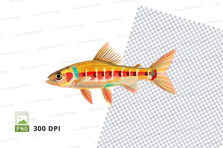 Shark Clipart Image 6