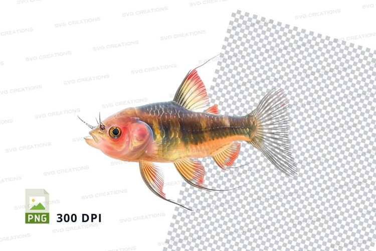 Colorful tropical fish