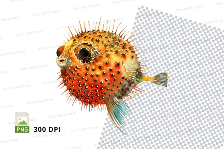 Fish Illustration Image 21