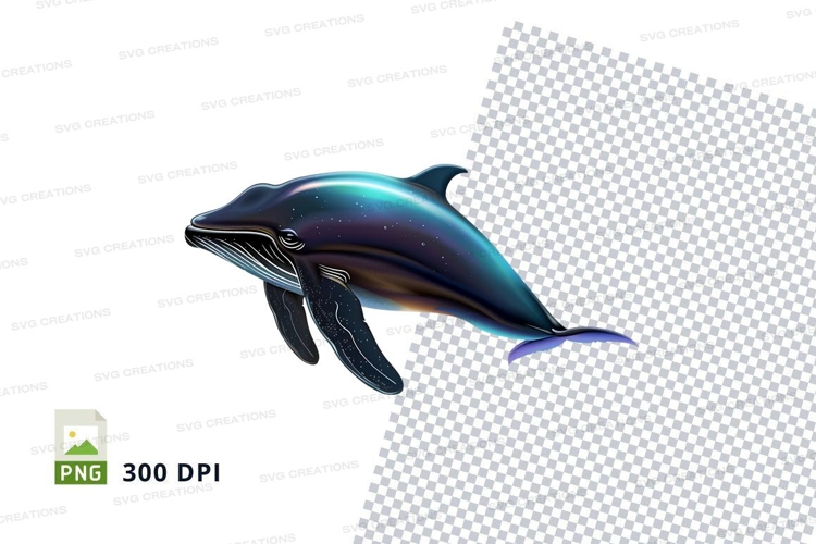 Dolphin Illustration