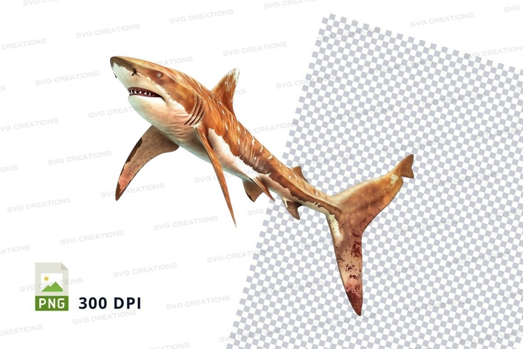 Dinosaur Illustration Image 18