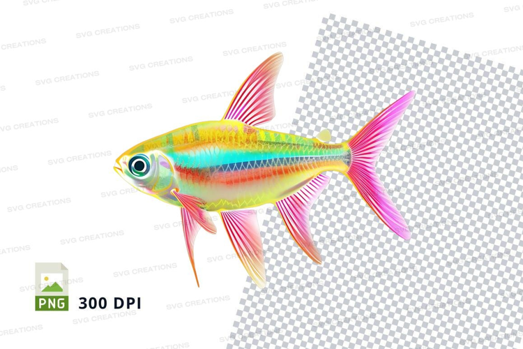 Colorful tropical fish