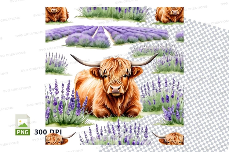 Serene highland cow in lavender field